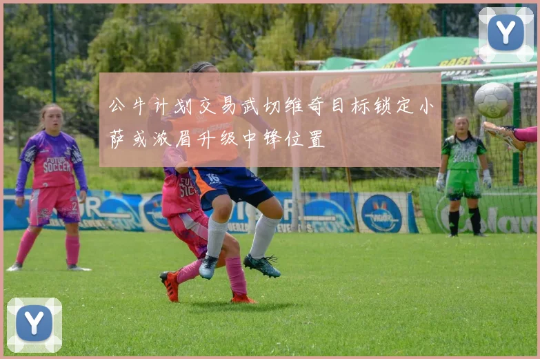 公牛计划交易武切维奇目标锁定小萨或浓眉升级中锋位置