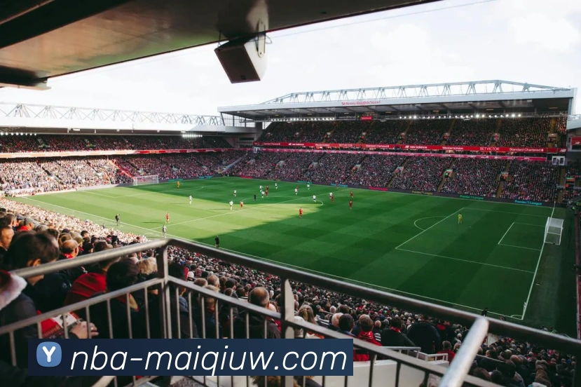 NBA买球网站全站App